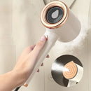 SteamMaster Mini Portátil